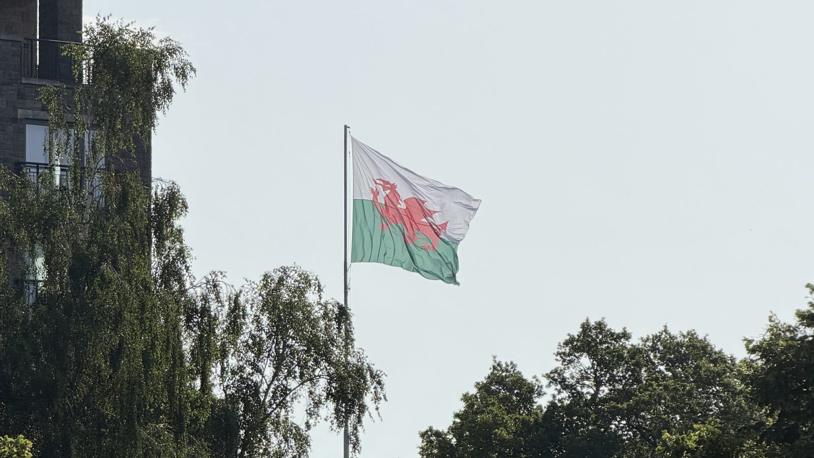 The Welsh flag flying against a summer sky